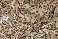 biomass boilers Ferindonald